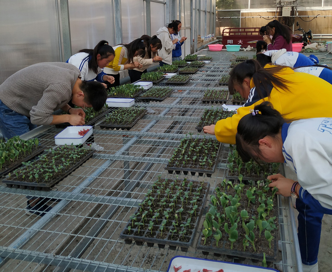 我校舉行2019年校級學生職業技能大賽