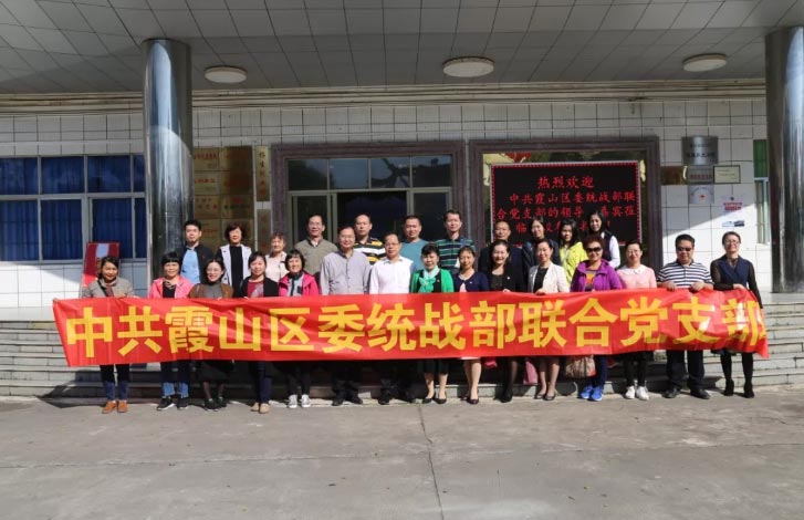 【生動的黨課】感受中醫魅力，重溫入黨誓言——中共霞山區委統戰部聯合黨支部黨員蒞臨我校開展黨員活動