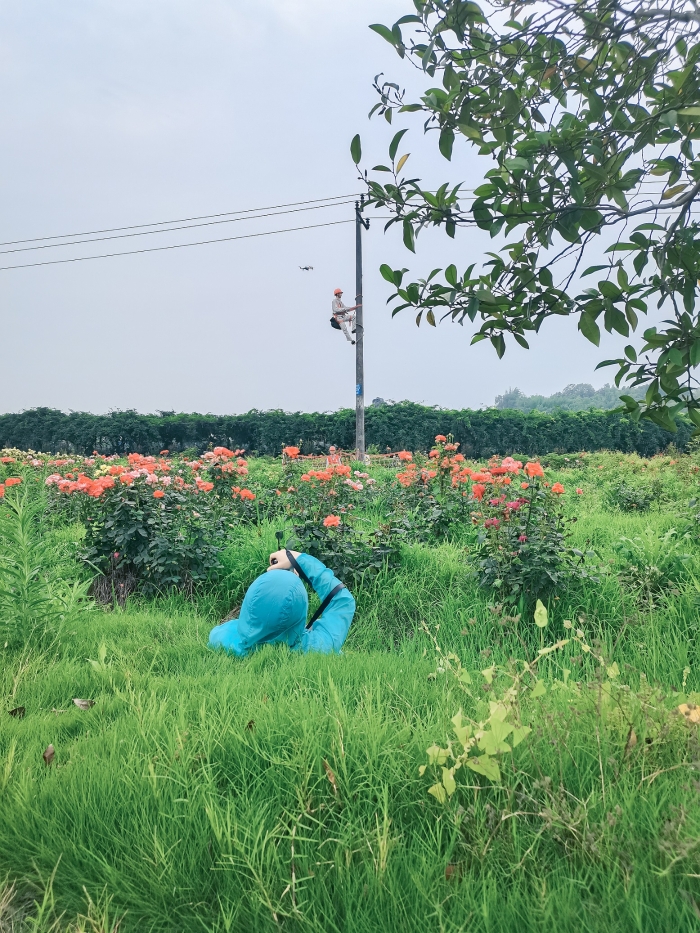 宣传走出去，报道活起来