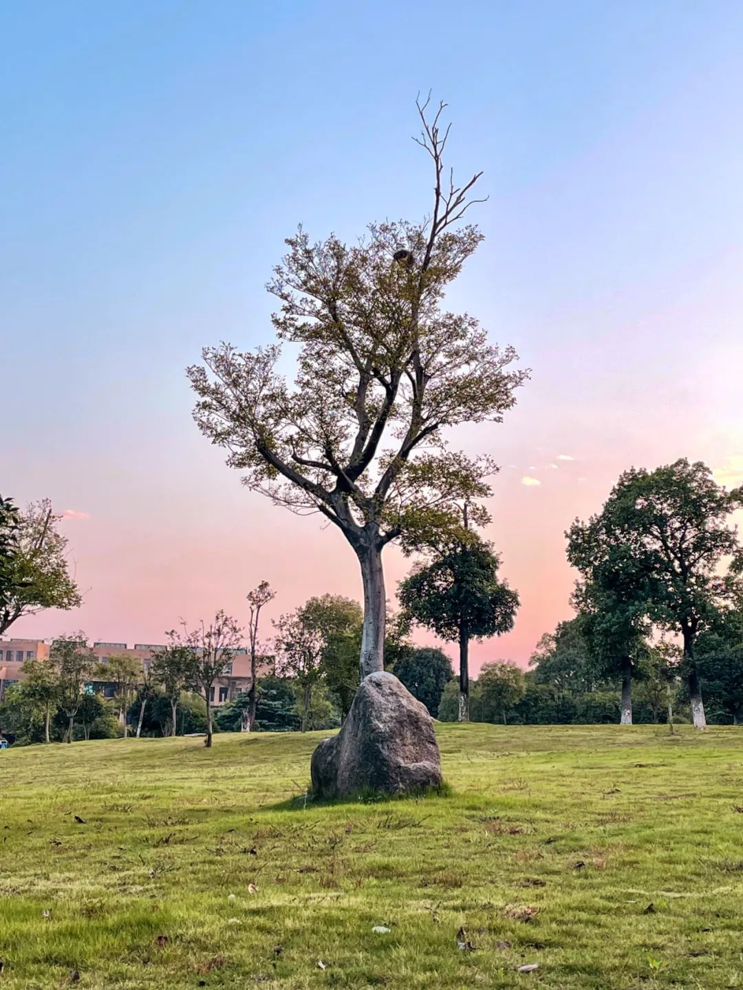 在新余学院，与光影邂逅