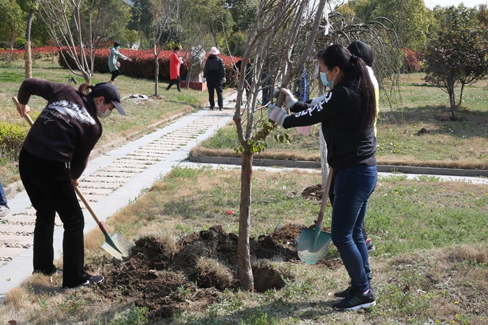 战疫情 植新绿 学院开展义务植树活动
