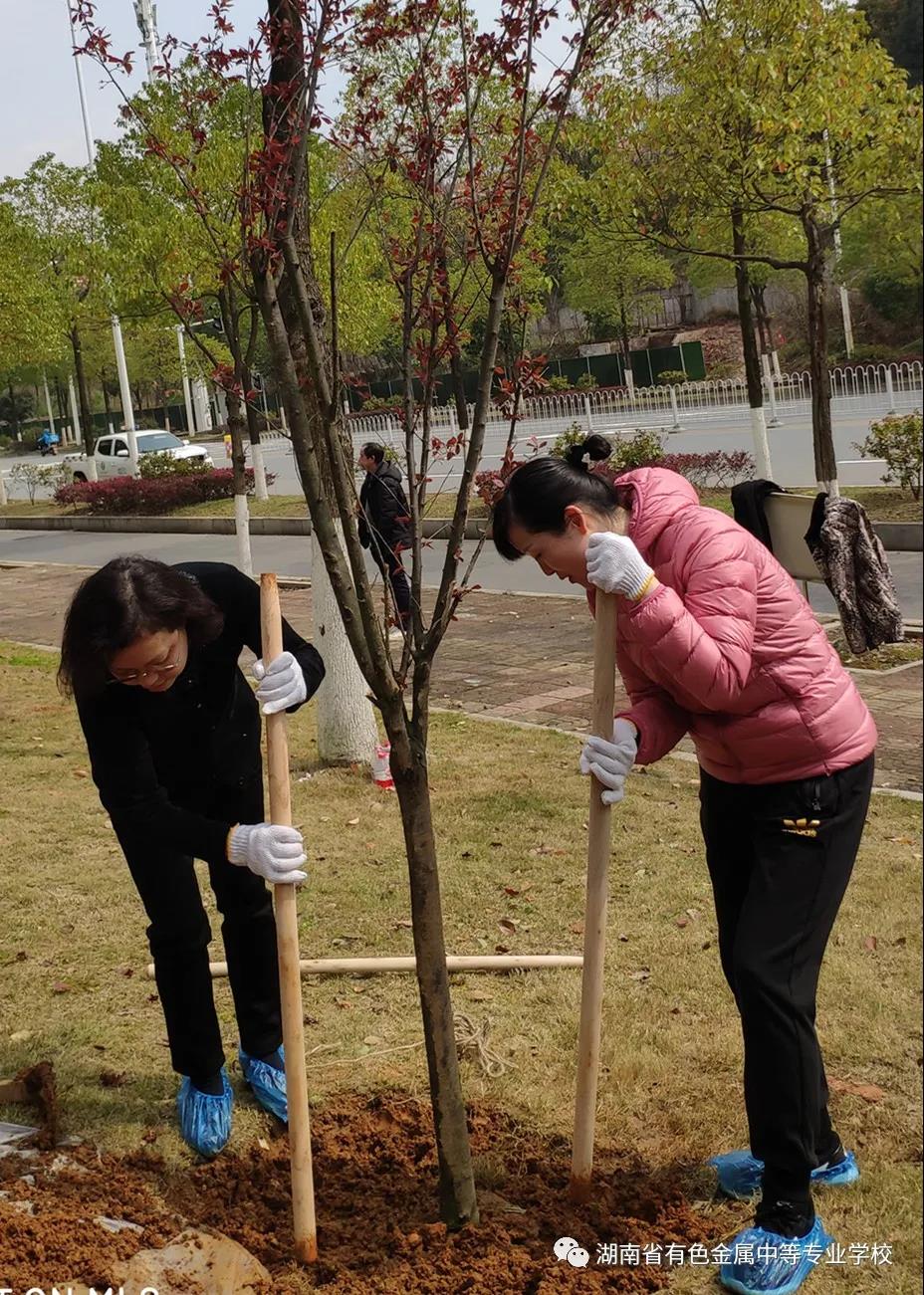 湖南省有色金属中等专业学校植树节党建活动