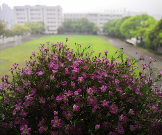 满室馨香，扬帆起航  提前布置早准备，有条不紊迎开学！