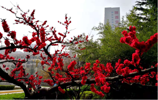 陕西交通职业技术学院