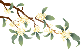 湖南軟件職業技術大學2025年招生簡章