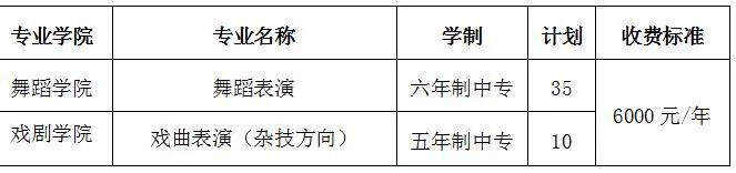 湖南艺术职业学院2023年五年制大专、三年制中专、五年制中专、六年制中专招生简章