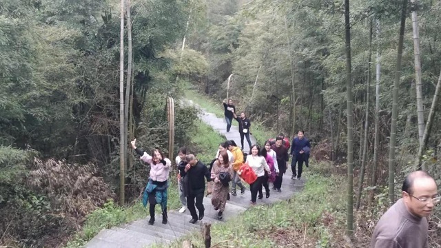 “三八”妇女节 踏春登山活动