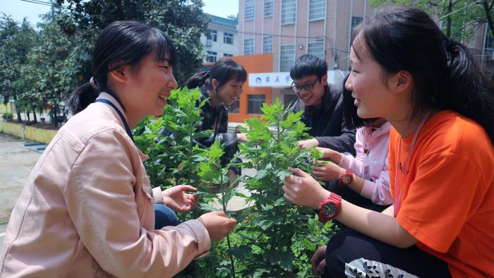 长沙市麓才医药学校校园风貌