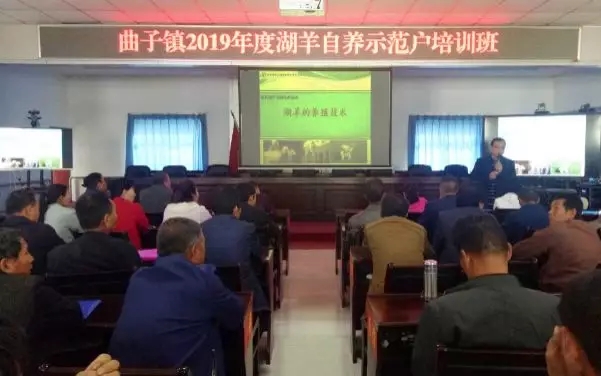 脫貧攻堅，我們永遠在路上——我院教師赴環縣開展湖羊自養示范戶技術培訓，助力脫貧攻堅取得實質成效