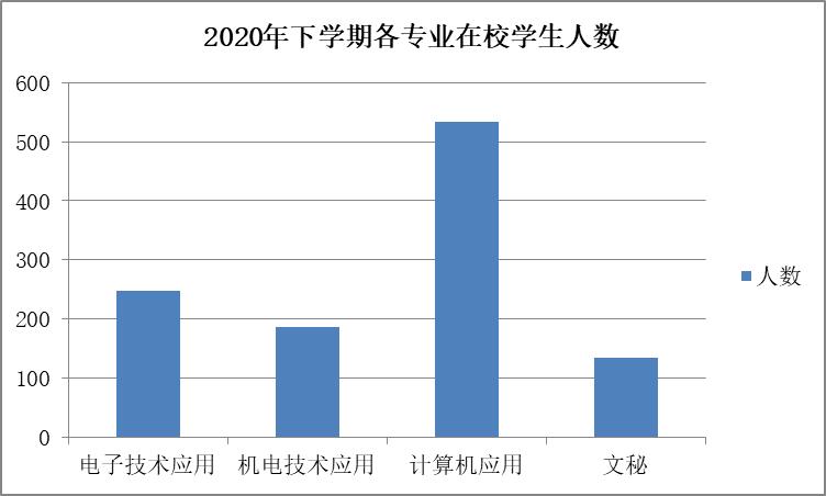 益阳市综合职业中等专业学校  2020年度质量报告