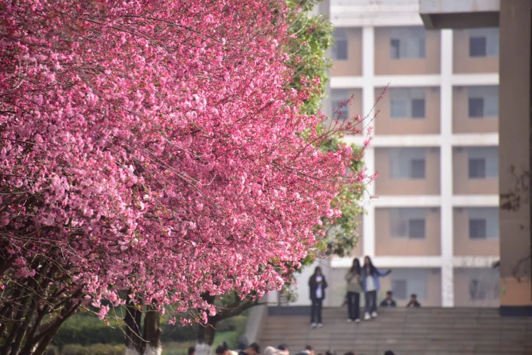 云南工程职业学院2023年五年制大专报考指南