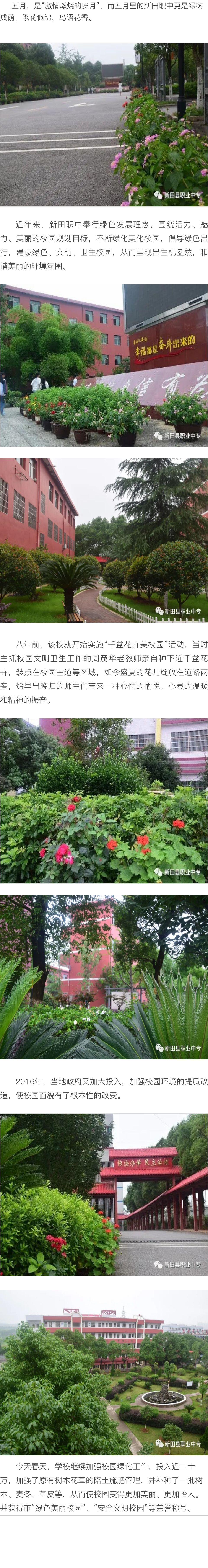【爱校】新田职中：美丽的鲜花 绽放在校园
