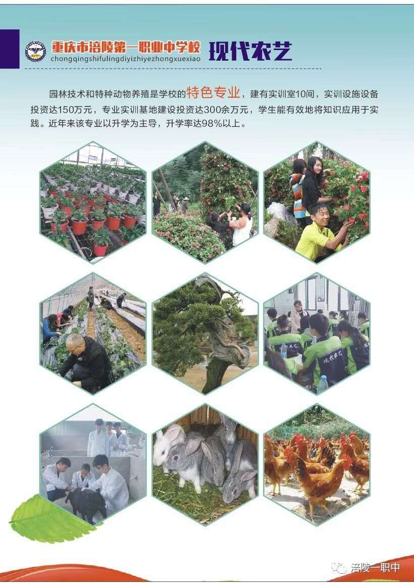 涪陵一職中2020年招生簡(jiǎn)章