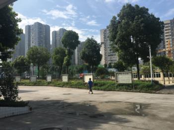 校园风光