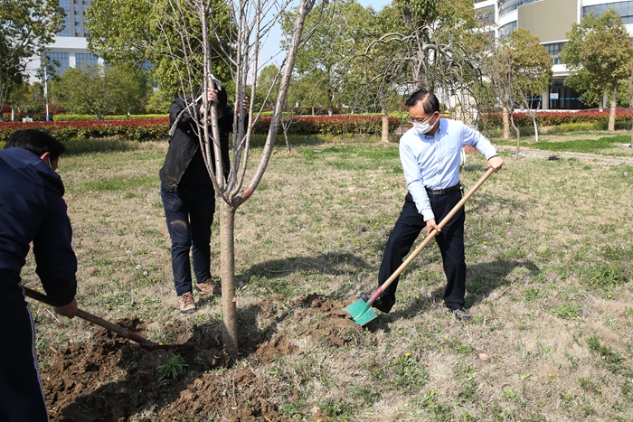 战疫情 植新绿 学院开展义务植树活动