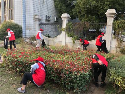 “双创”攻坚进行时 ——黄冈科技职业学院党员、团员在行动