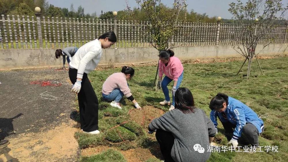 绿化美化校园环境——我们在行动