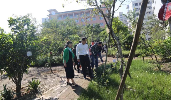 【生動的黨課】感受中醫魅力，重溫入黨誓言——中共霞山區委統戰部聯合黨支部黨員蒞臨我校開展黨員活動